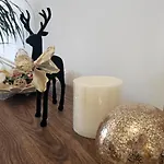 Viktoria Apartament *